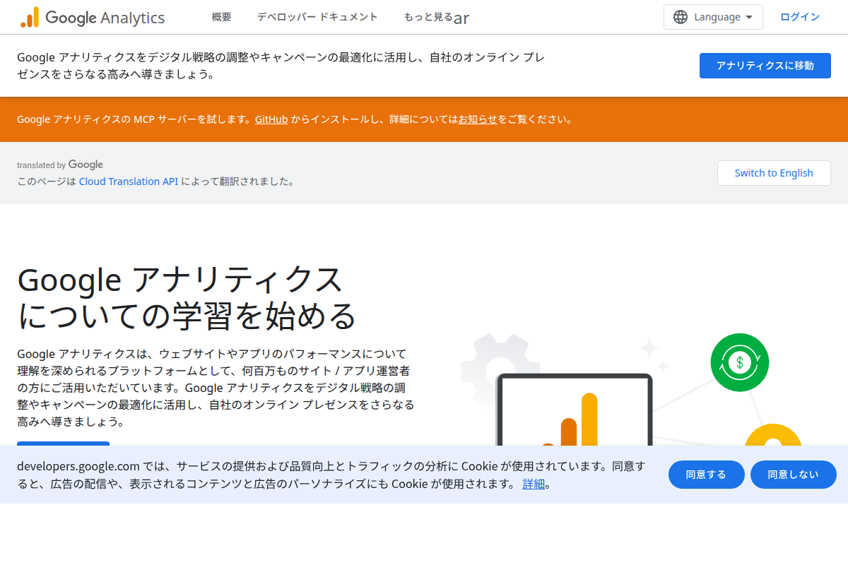 google analytics